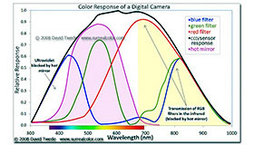 color response