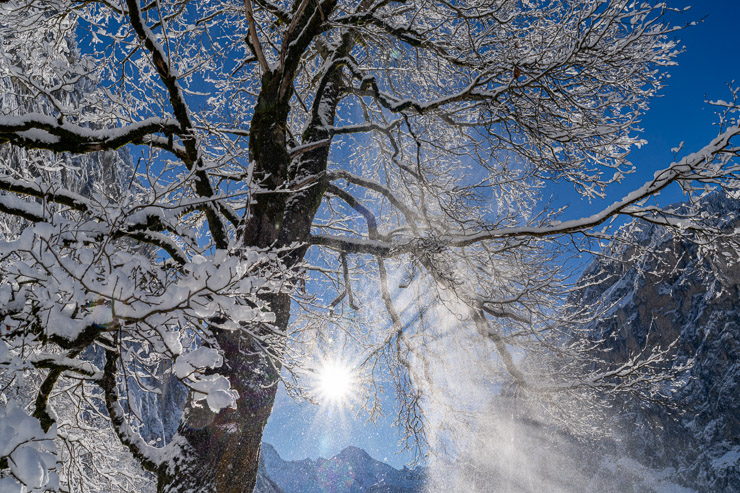 Lauterbrunnental